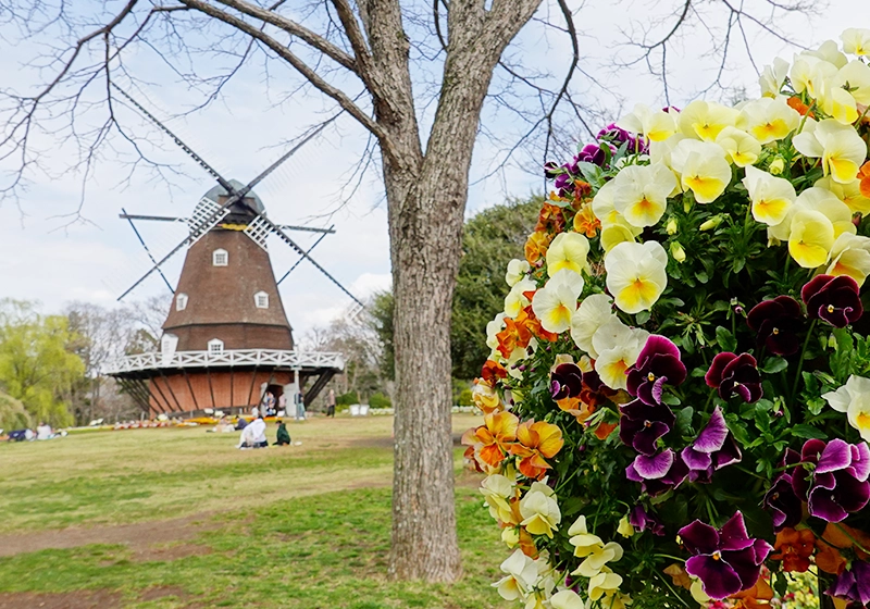 船橋アンデルセン公園